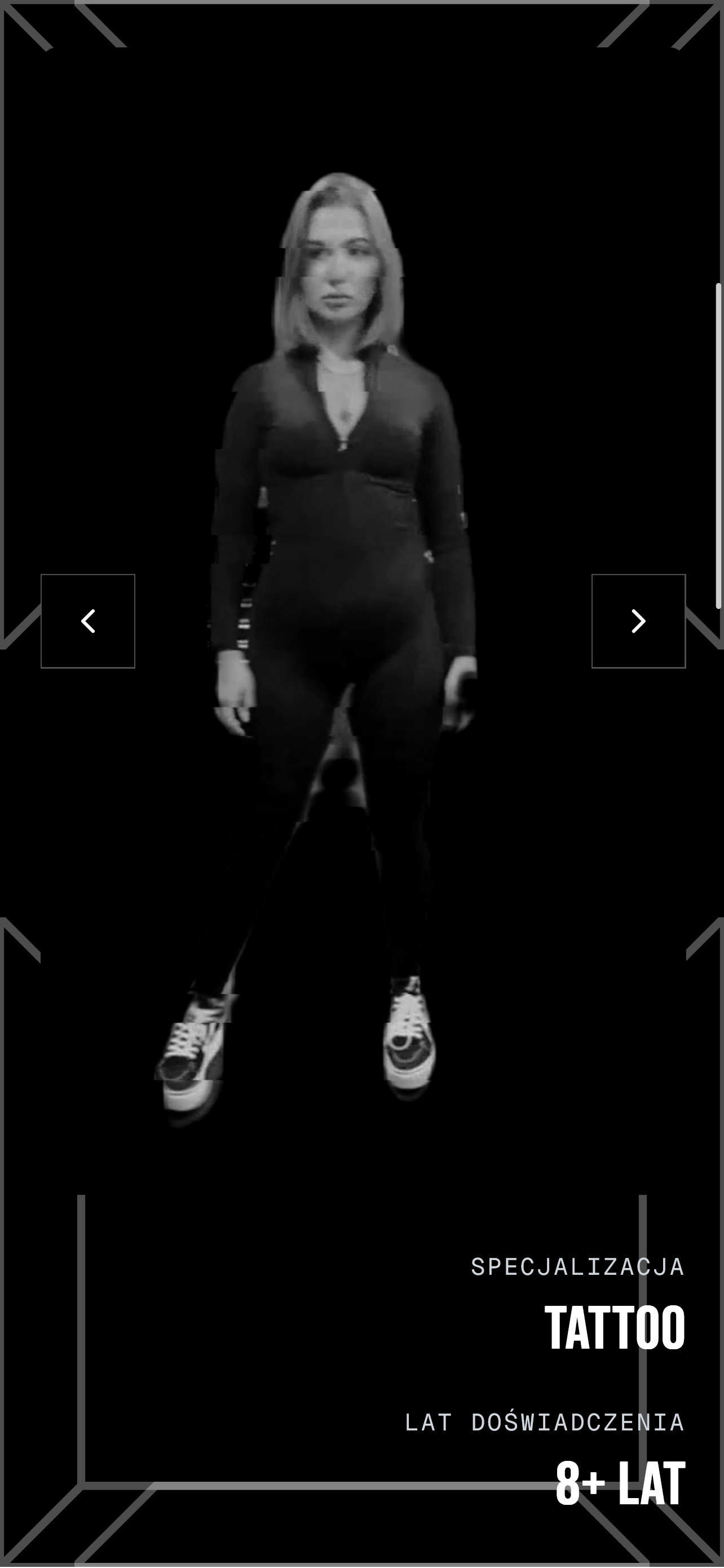 Artist specialization